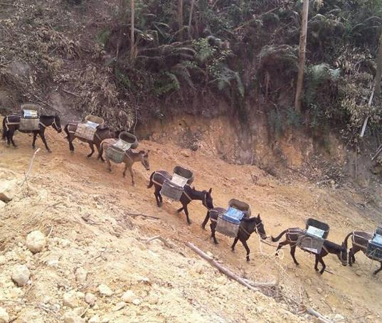 湖南山路马帮运输