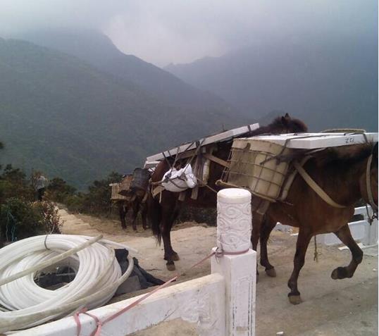 湖南山区马帮运输