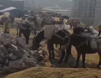 湖南马队山路运输