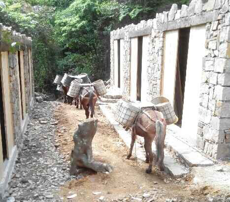 湖南马队运输队