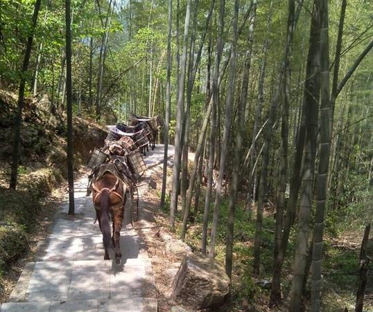 湖南山路马队运输