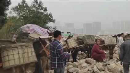 湖南骡马山区运输