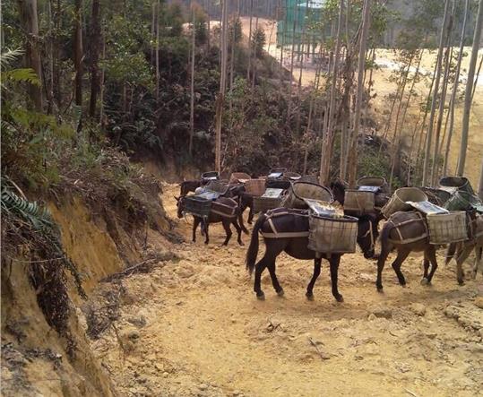 湖南马帮山路运输