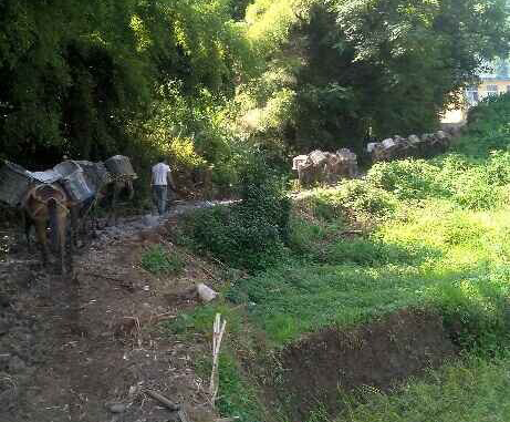 湖南马帮运输队